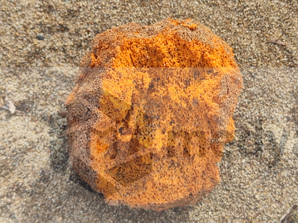 xiaomi-13rdJune 1268