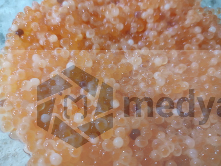 xiaomi-13rdJune 1309