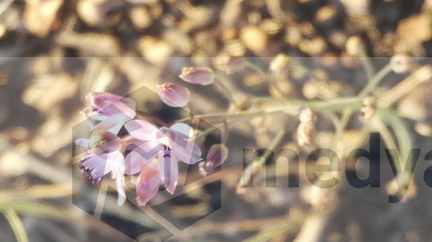 20181030040003-afae6f3c