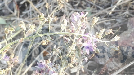 20181030035953-e3ec1012