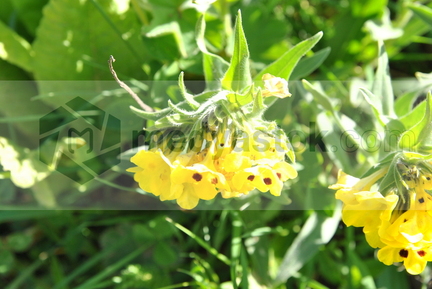 20170629210339-7f30ea09