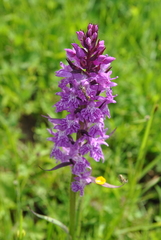 20170629203948-38160441