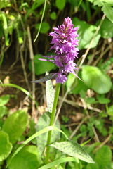 20170629203614-f7c172ec