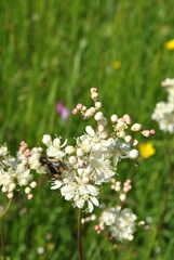 20170629200216-a31cd1f7