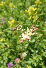 20170629195250-beea0111