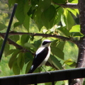 DSCF3362.JPG