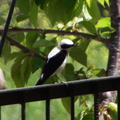 DSCF3363