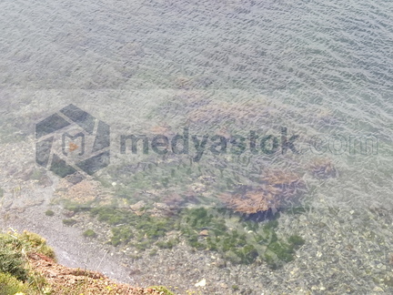 xiaomi-13rdjune 1629