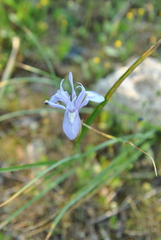 20170416042352-c71e065a