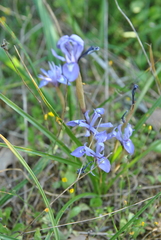 20170416042432-aa6e5d82