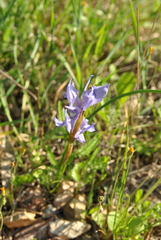 20170416042513-7ee630ab