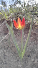 20170416052714-5b15c256