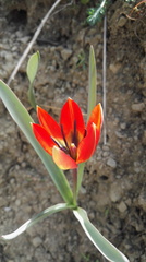 20170416053527-a3ff954e