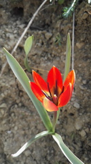 20170416053718-af4e1038