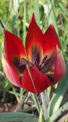 20170416061739-97545acf