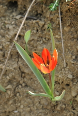 20170416033100-cfa6fbe1