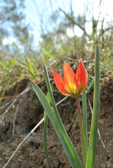 20170416033142-1bf97f92