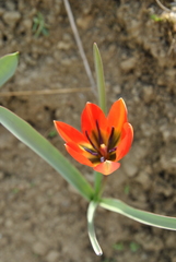 20170416033216-1b12af4e