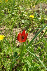 20170416033709-fc074a91