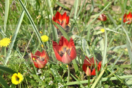 20170416033821-63824d9a