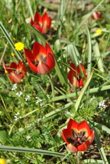 20170416033857-6aee1548