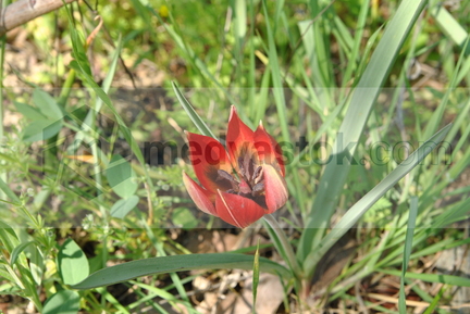 20170416033930-75cf0f2f