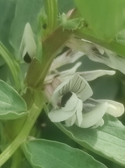 IMG 20260331 151114 1