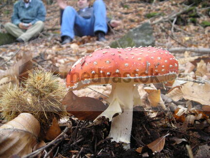 DSCN0224