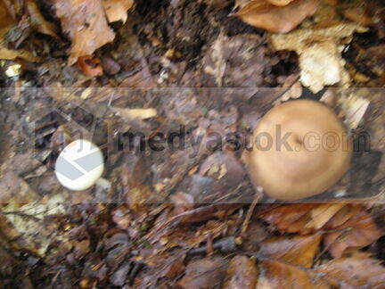 DSCN0227