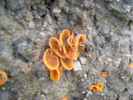 DSCN0236