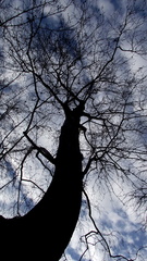 DSCF0139z